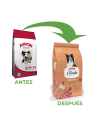 Pienso para Perro ARION Friends Lamb y Rice 14kg